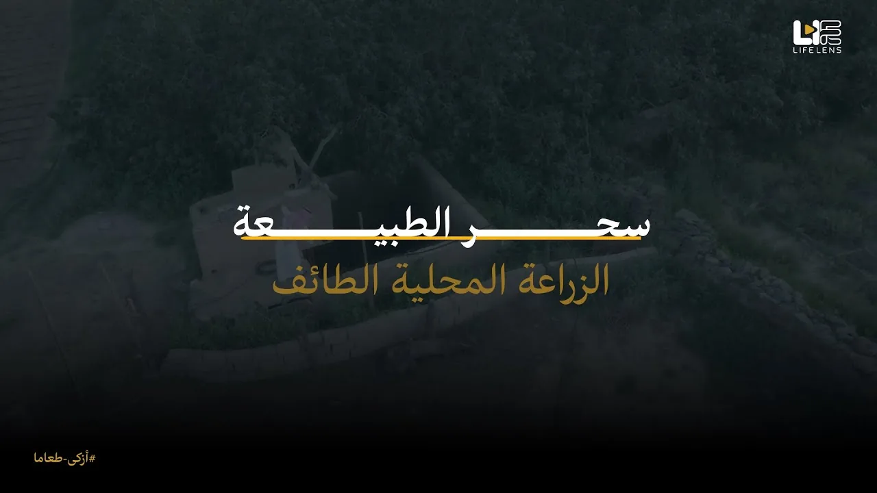 جولة في مزرعة عضوية بالهدى – الطائف | دعم الزراعة المحلية مع Azka
