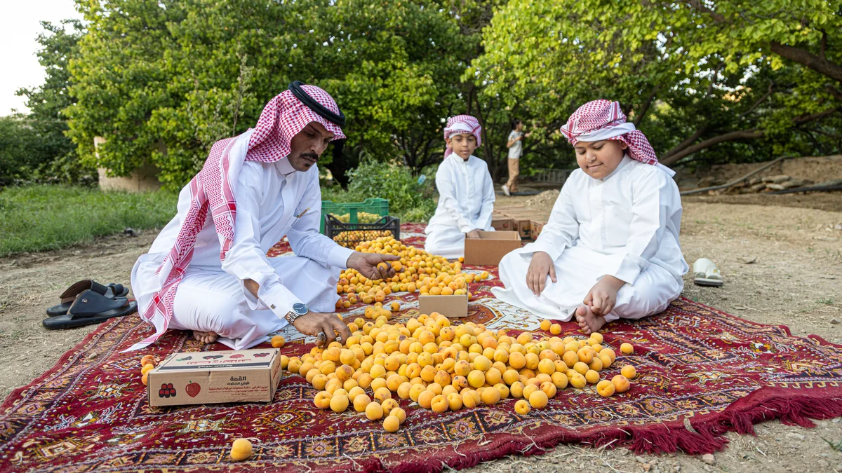 أجهزة تحكم وهندسة الصوت وإنتاج <a href=