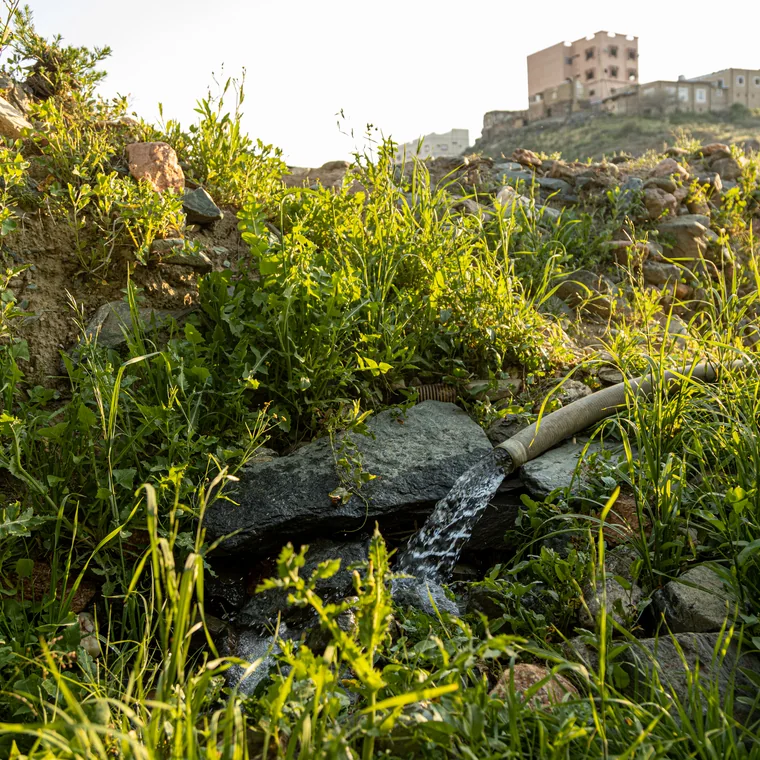 LIFELENS (170) — تصوير استوديو لايف لينس بجدة